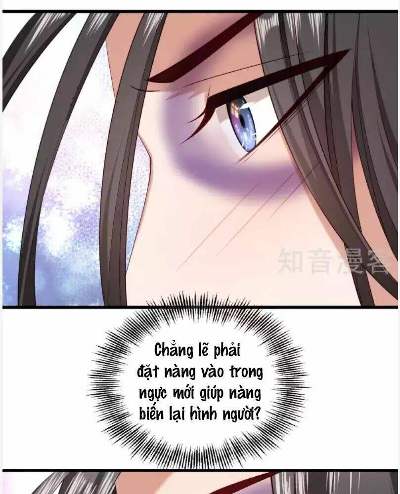 Tiểu Hoàng Thư Và Tiểu Hoàng Thúc: Chapter 55