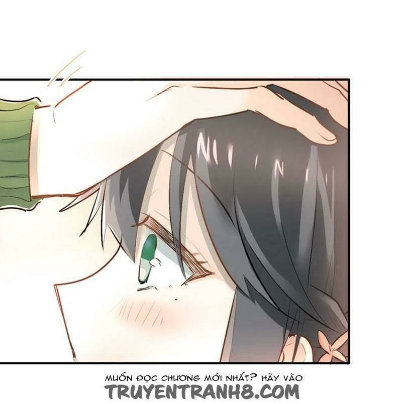 Đầu Gấu Biết Yêu: Chapter 31