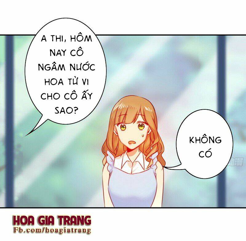 Phục Thù Thiếu Gia Tiểu Điềm Thê: Chapter 19