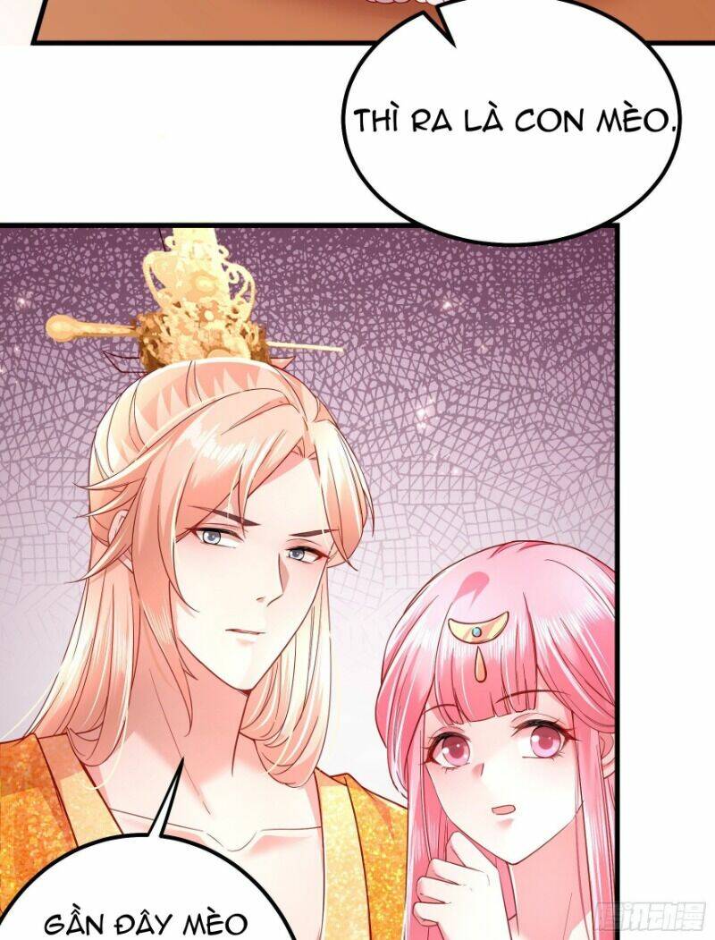 Ta Phải Làm Hoàng Hậu: Chapter 7