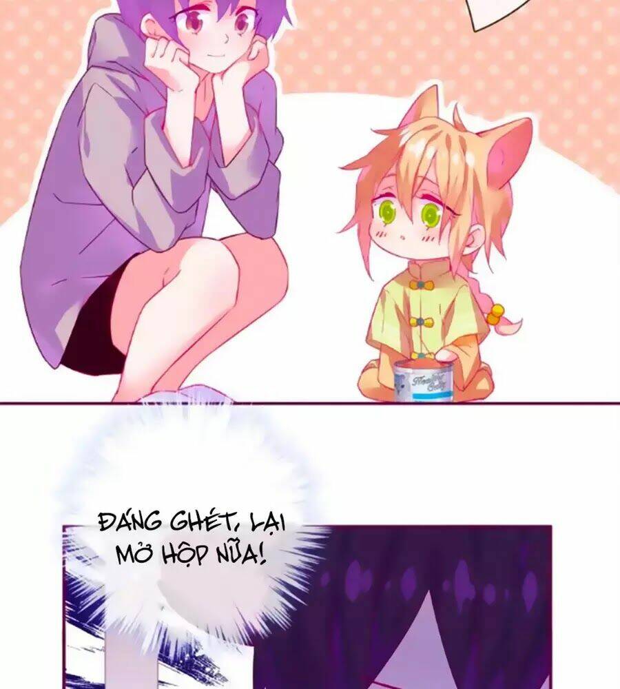 Đừng Nghịch, Ta Chỉ Muốn Yên Tĩnh: Chapter 61