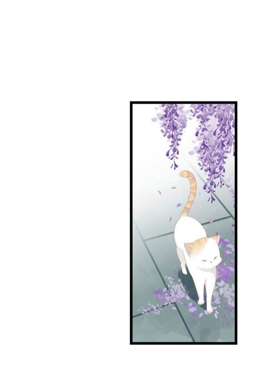 Điều Hương Vương Phi: Chapter 23