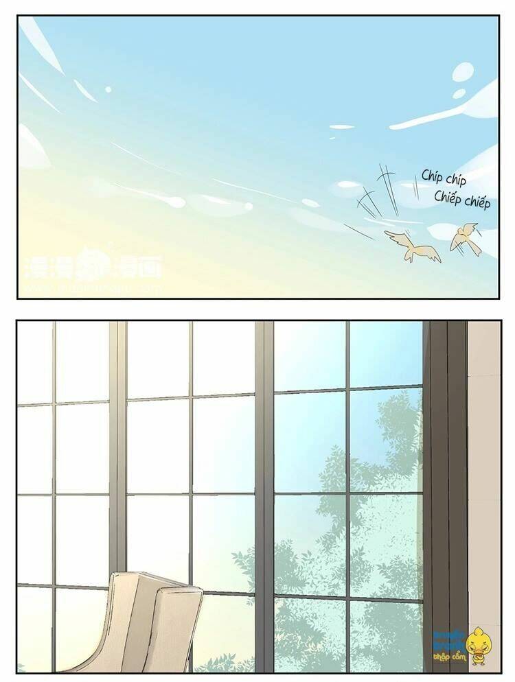 Cứu Mạng! Loài Mèo Thống Trị Thế Giới Rồi!: Chapter 15