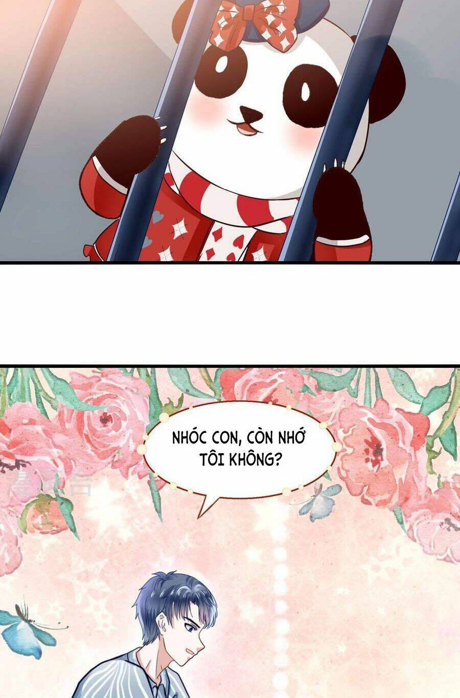 Tôi Bị Gấu Trúc Nhìn Trúng Rồi: Chapter 5