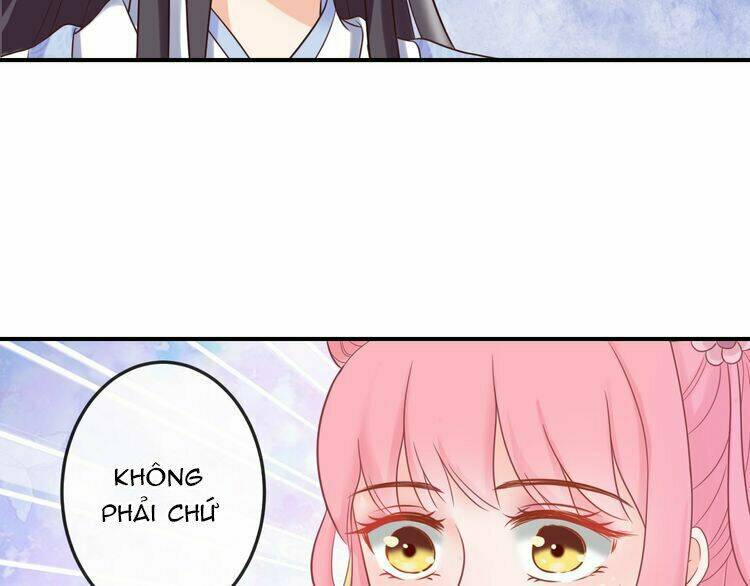 Báo Cáo Vương Gia, Vương Phi Là Một Con Mèo: Chapter 4