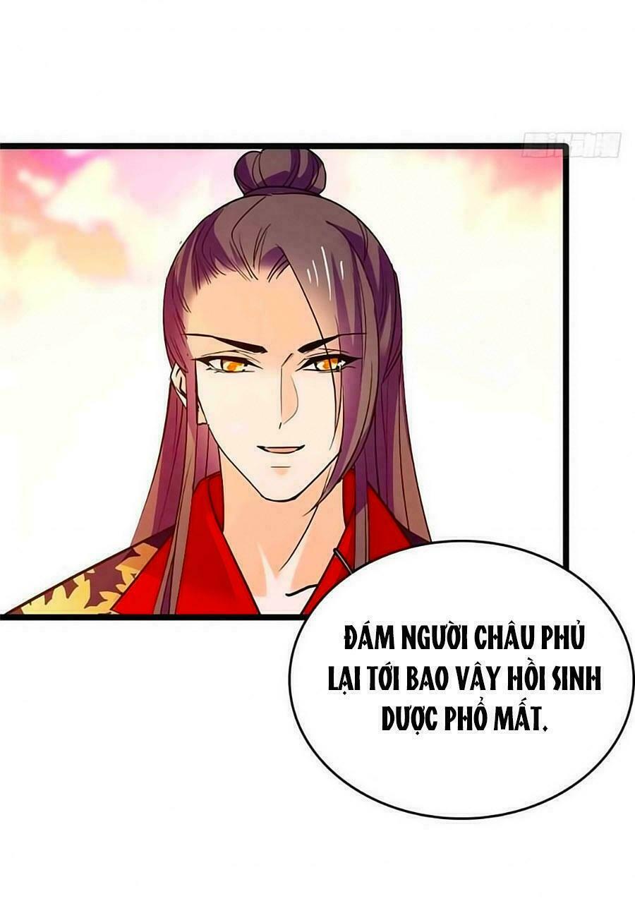 Nhất Thế Khuynh Thành: Lãnh Cung Khí Phi: Chapter 81
