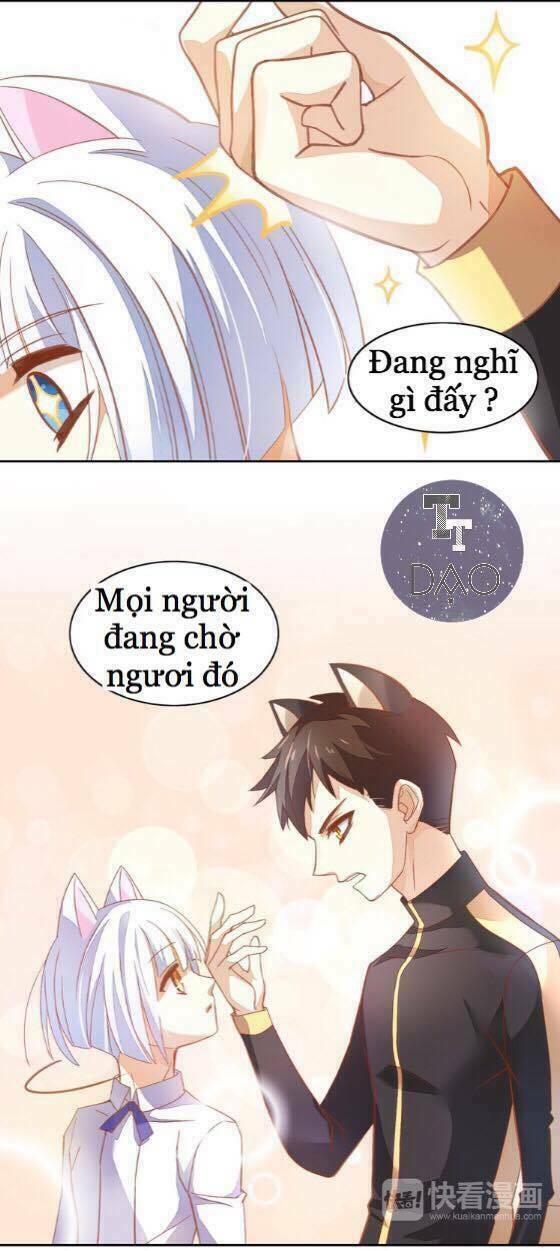 Dưới Móng Vuốt Mèo: Chapter 4