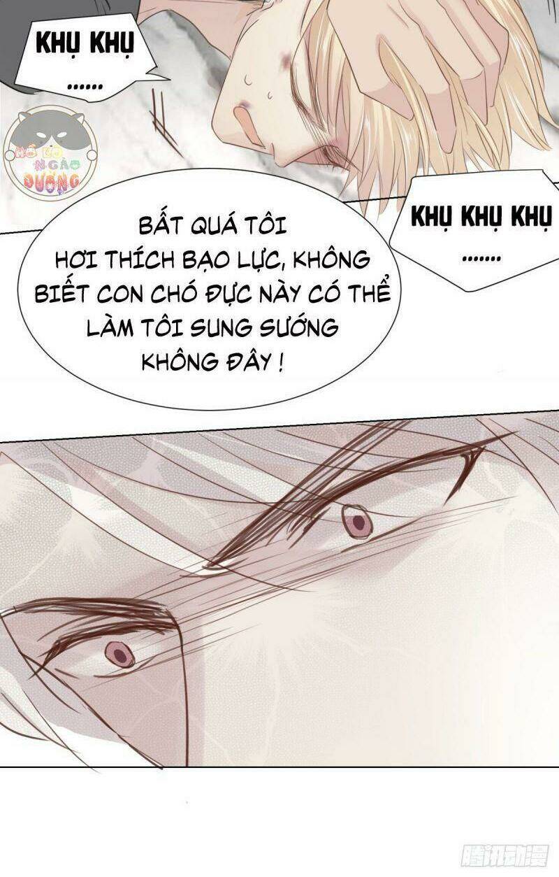 Điều Giáo Gấu Bắc Cực: Chapter 33