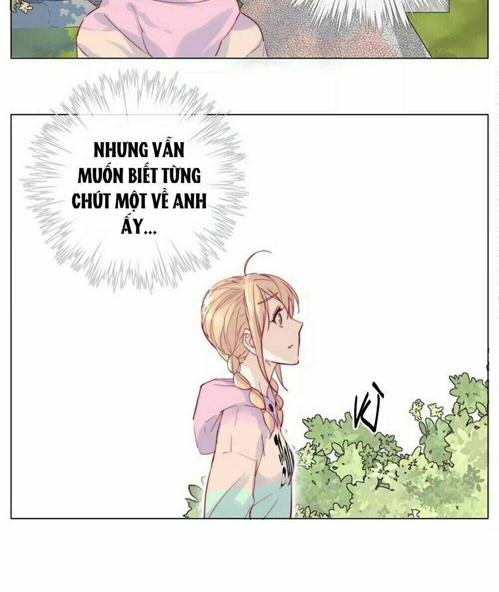Tình Yêu Chớp Nhoáng: Chapter 41