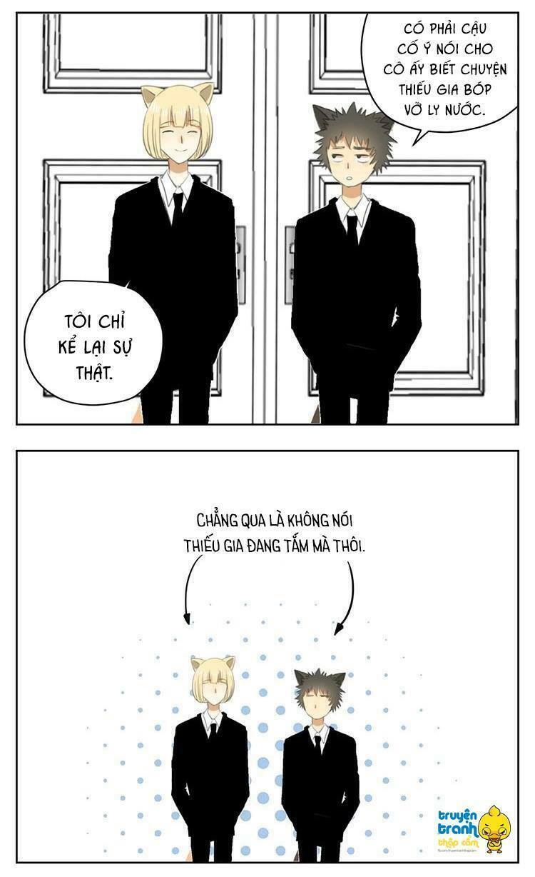 Cứu mạng ! Loài mèo thống trị thế giới rồi !: Chapter 30