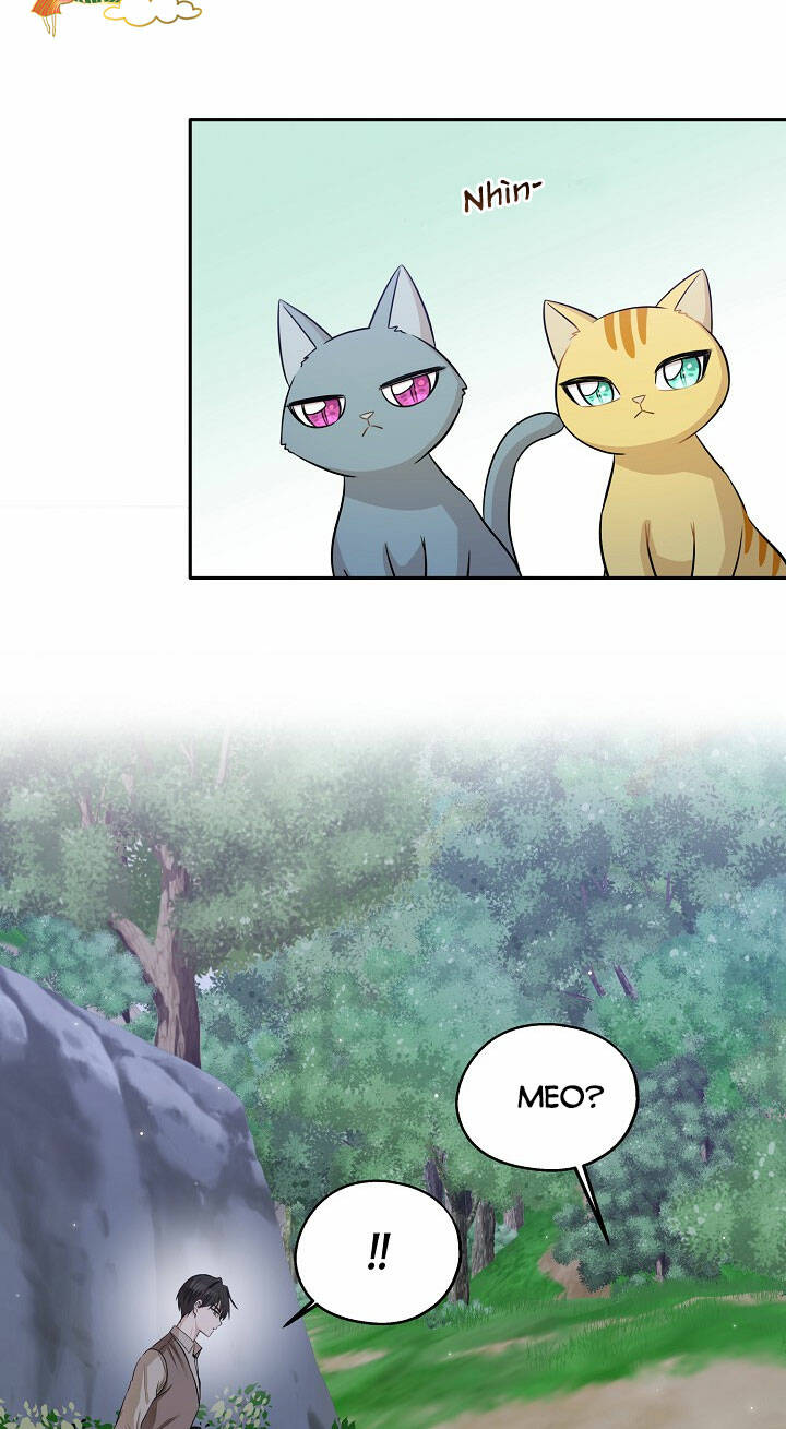 Cuộc Sống Kỳ Thú: Chapter 97