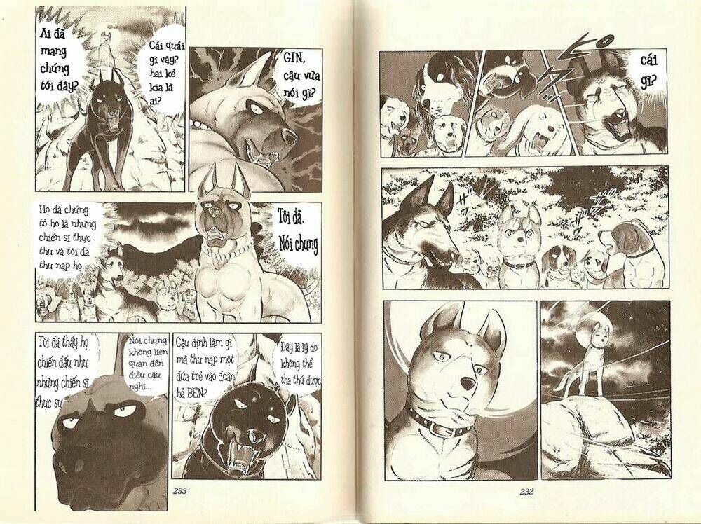 Chú Chó Có Nghĩa - Ginga Nagareboshi Gin: Chapter 11