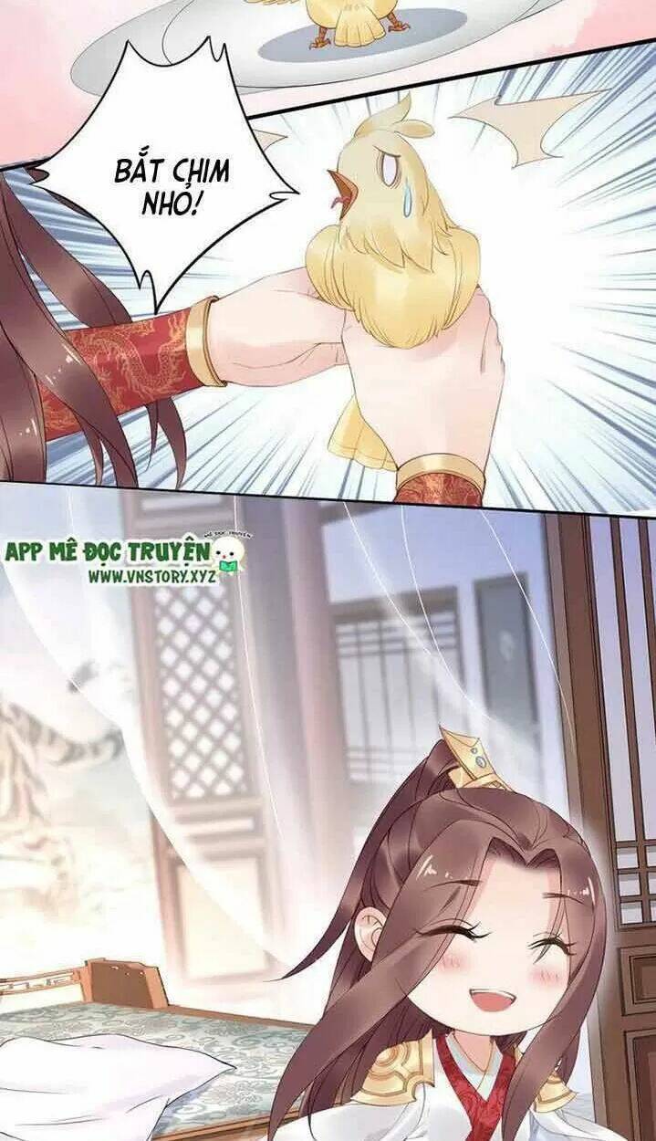 Nhất Sinh Nhất Thế Tiếu Thương Khung: Chapter 33