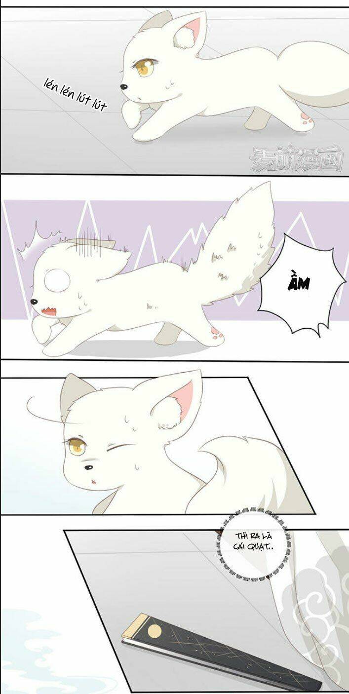 Quy Tự Dao: Chapter 28