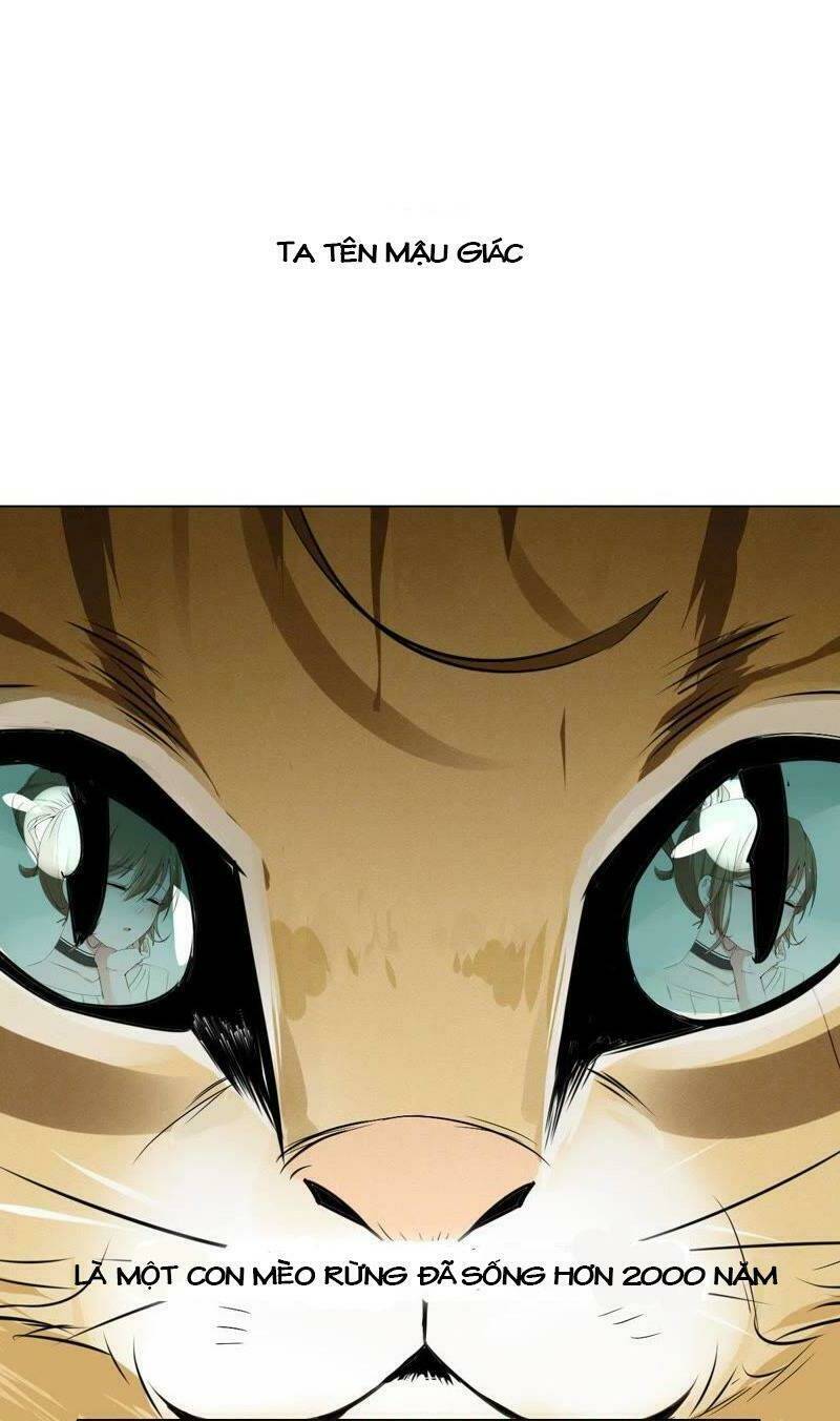 Thập Nhị Hắc Miêu: Chapter 1