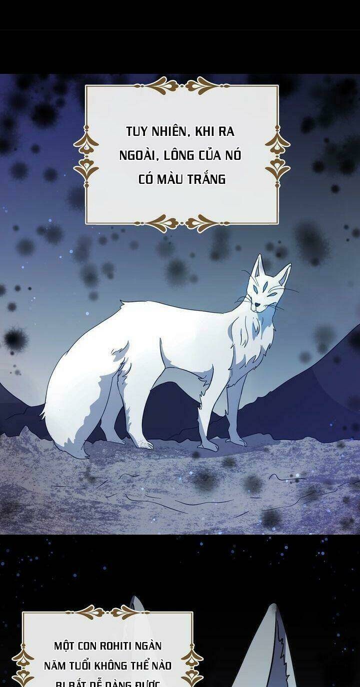 Tôi Là Bạn Gái Cũ Của Một Người Lính: Chapter 24