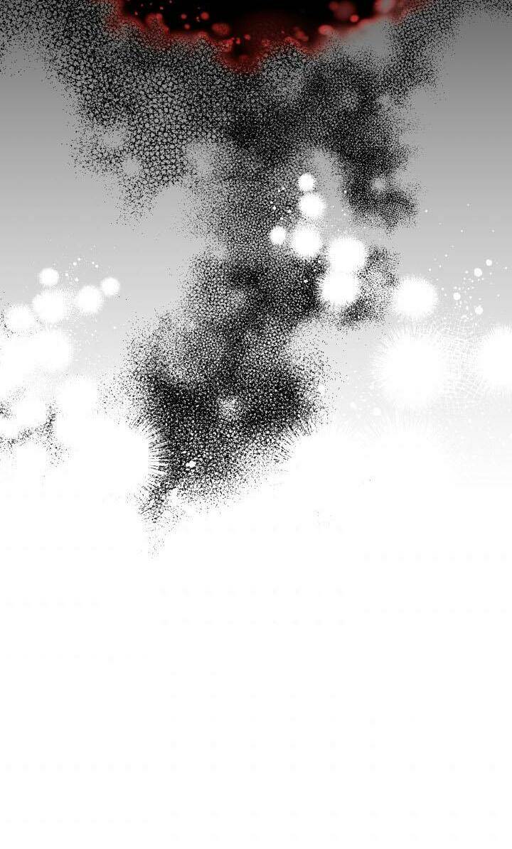 Nàng Elizabeth Thuần Khiết: Chapter 19