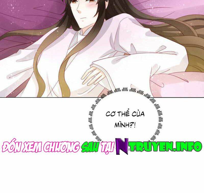 Nam Phi Nữ Tướng: Chapter 49