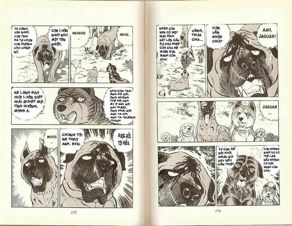 Chú Chó Có Nghĩa - Ginga Nagareboshi Gin: Chapter 16