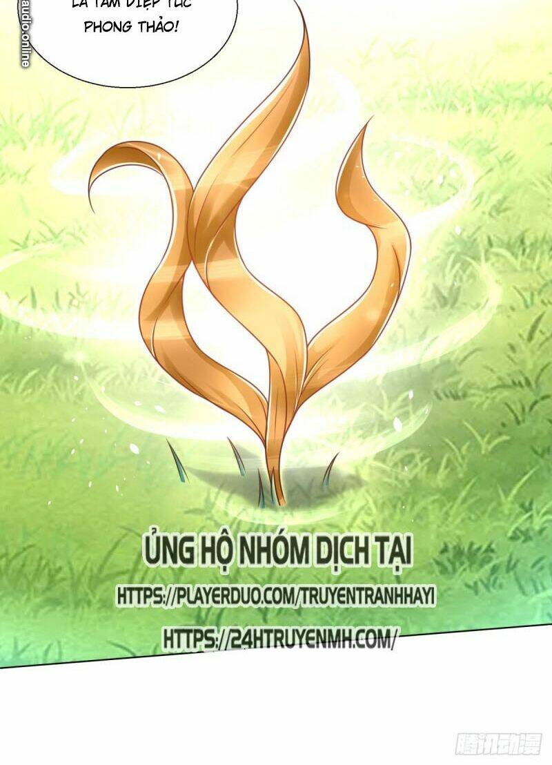 Chí Tôn Trọng Sinh: Chapter 88