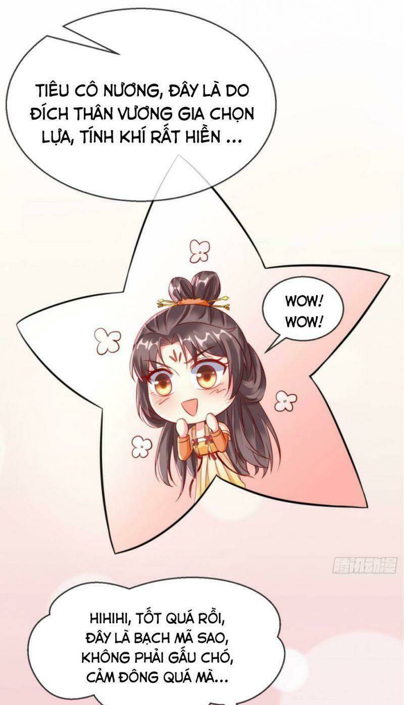 Vương Phi Là Đoá Bạch Liên Hoa: Chapter 22