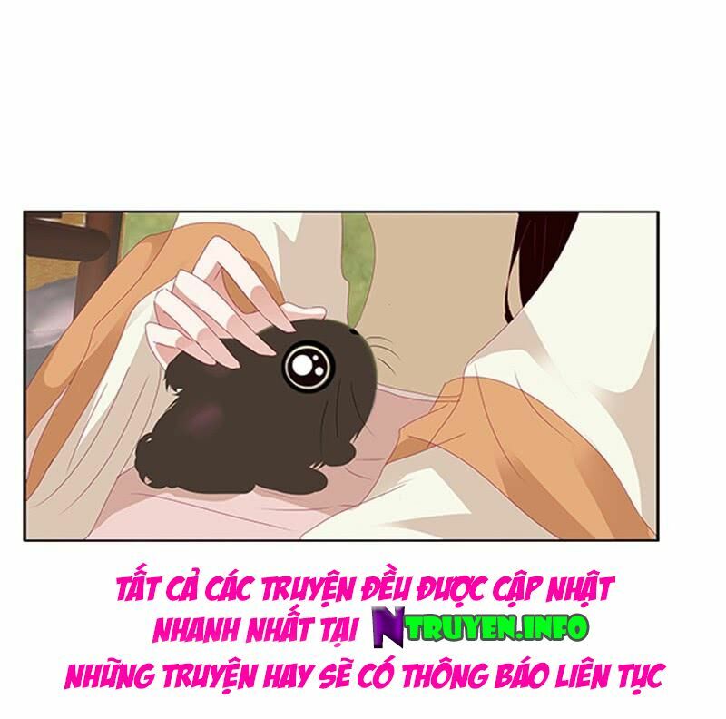 Thông Linh Phi: Chapter 440