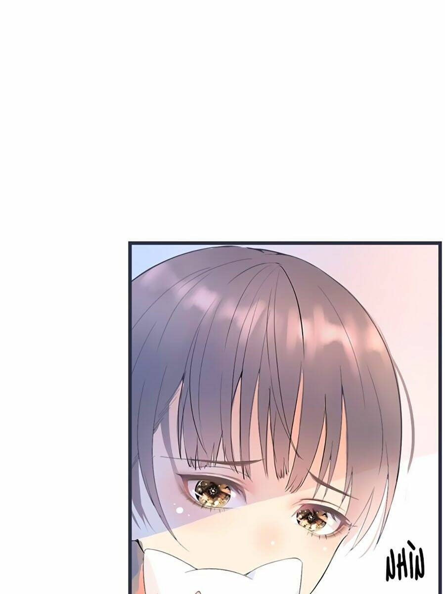 Quang Chi Vũ: Chapter 2.2