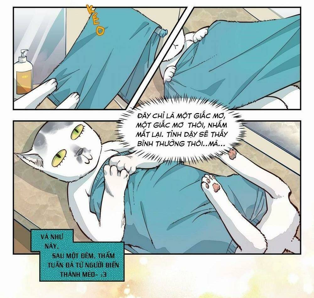 Thời Khắc Ấy, Chúng Ta Gặp Nhau: Chapter 1