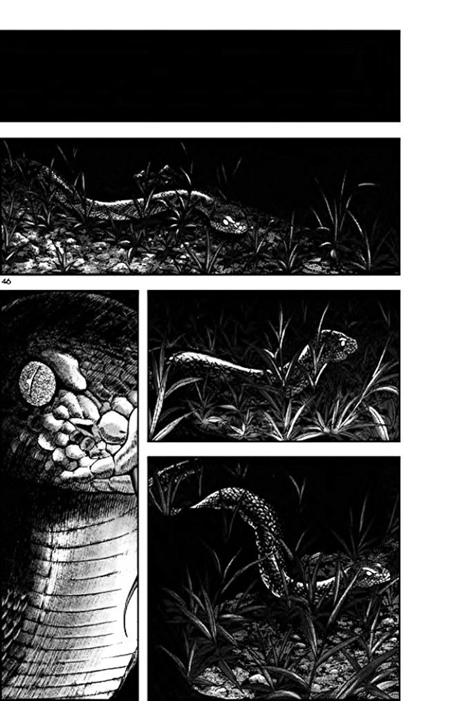 Long Phi Bất Bại 2: Chapter 8