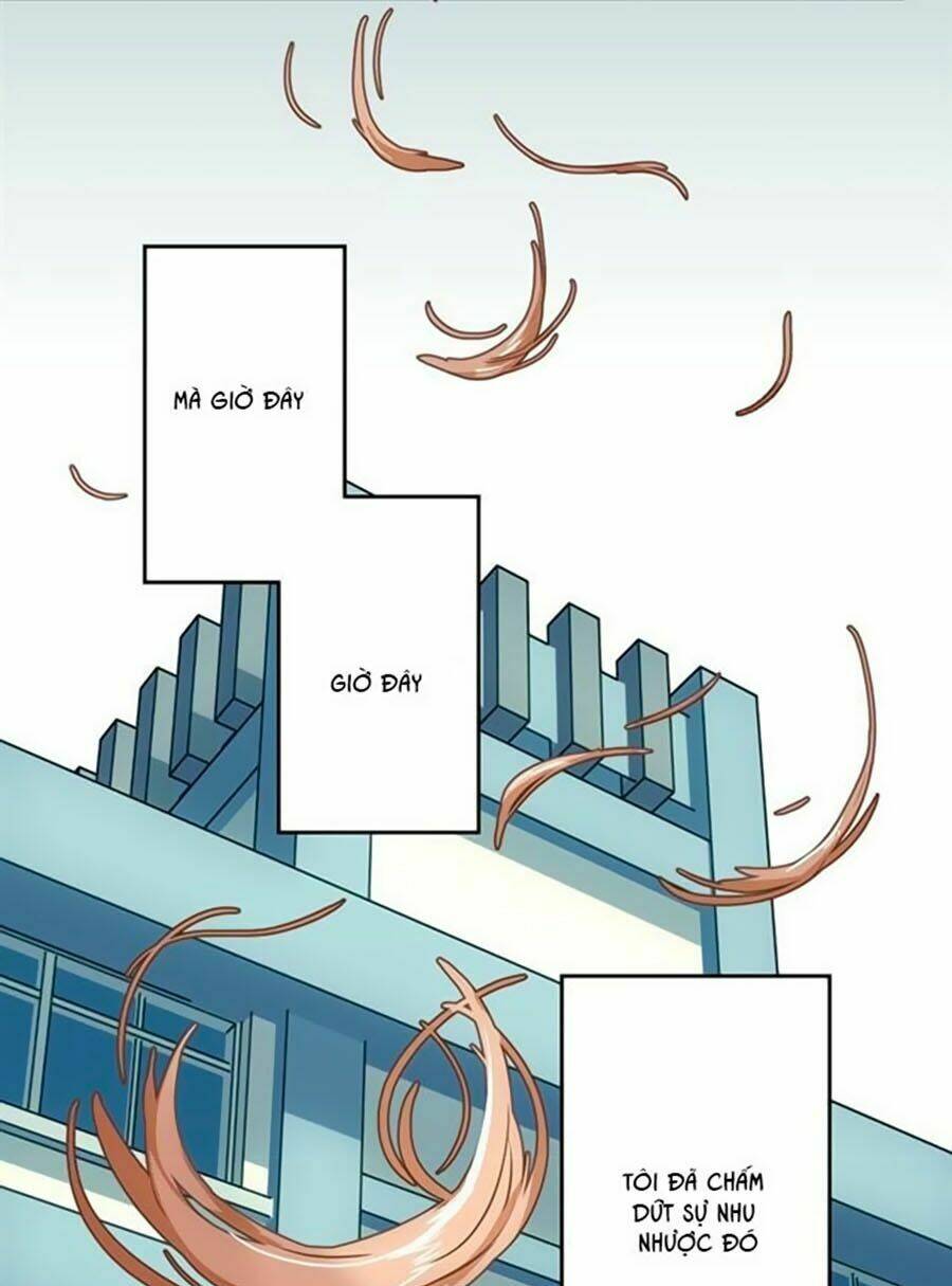 Bài Hát Tình Yêu: Chapter 8