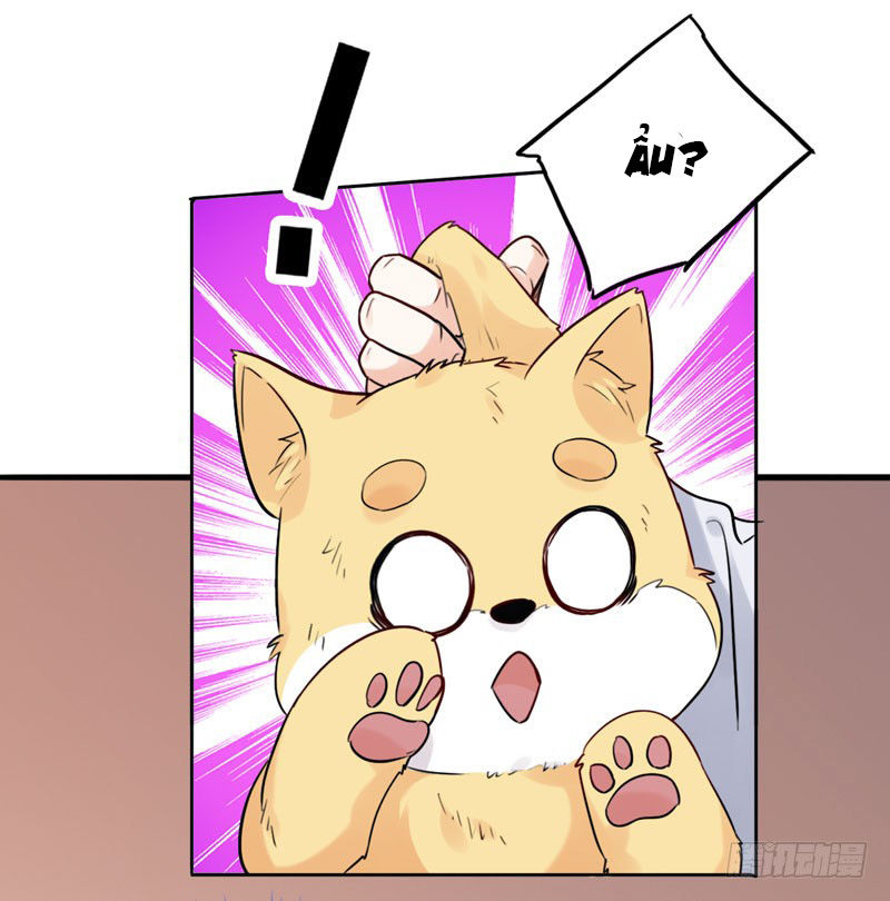 Lụ Đạn, Hôm Nay Lại Cũng Không Thể Biến Thành Người Được: Chapter 3