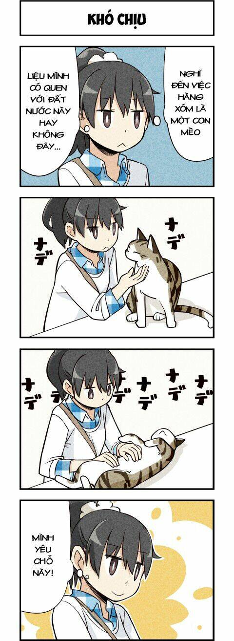 We Are Cat: Chapter 14