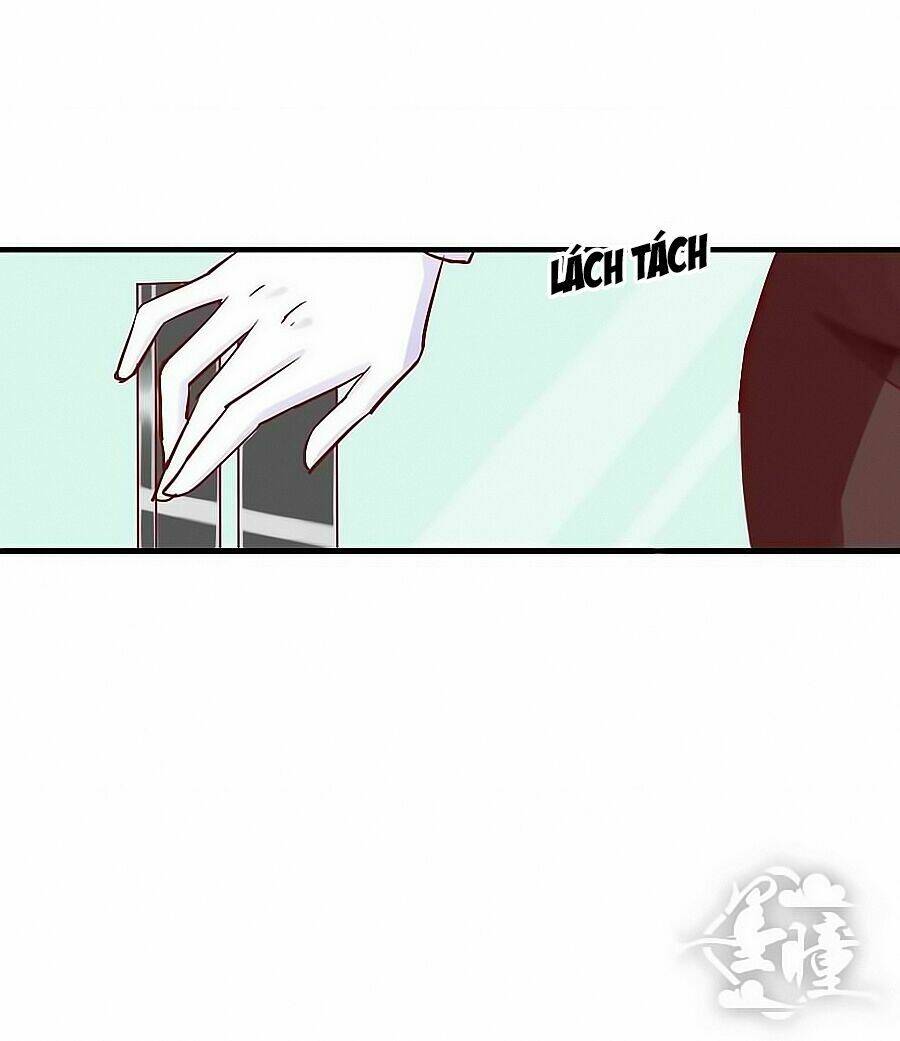 Tinh Ngụy: Chapter 2