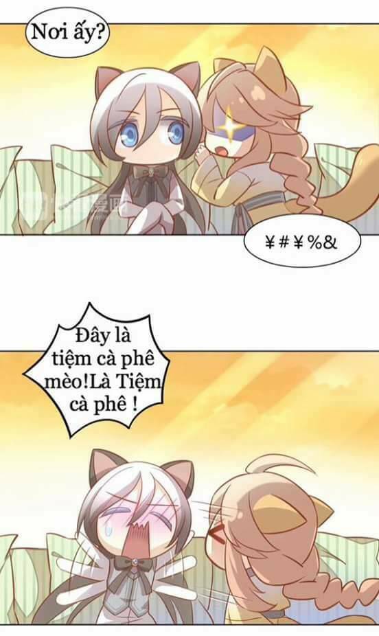 Dưới Móng Vuốt Mèo: Chapter 8