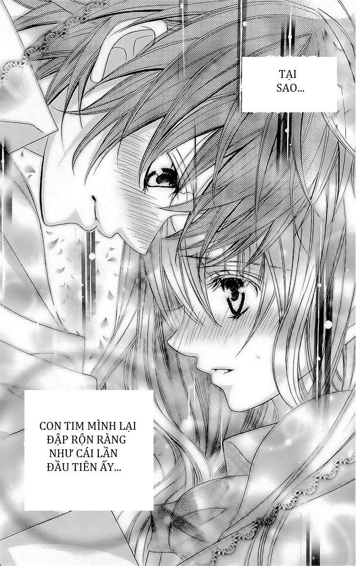 Mình Thích Cậu Đó, Suzuki: Chapter 41