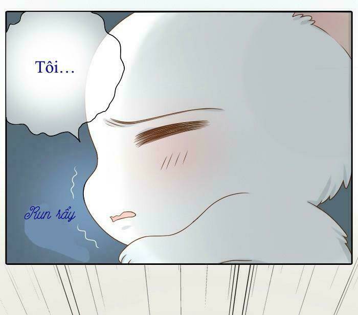 Tiểu Hồ Ly vs Tiểu Hóa Thượng: Chapter 8