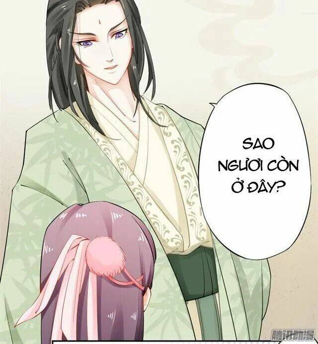 Tuyệt Thế Luyện Đan Sư: Chapter 14