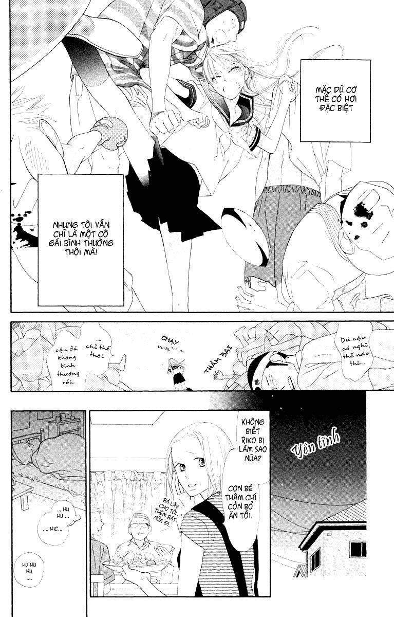 Hoa Trong Bão: Chapter 1