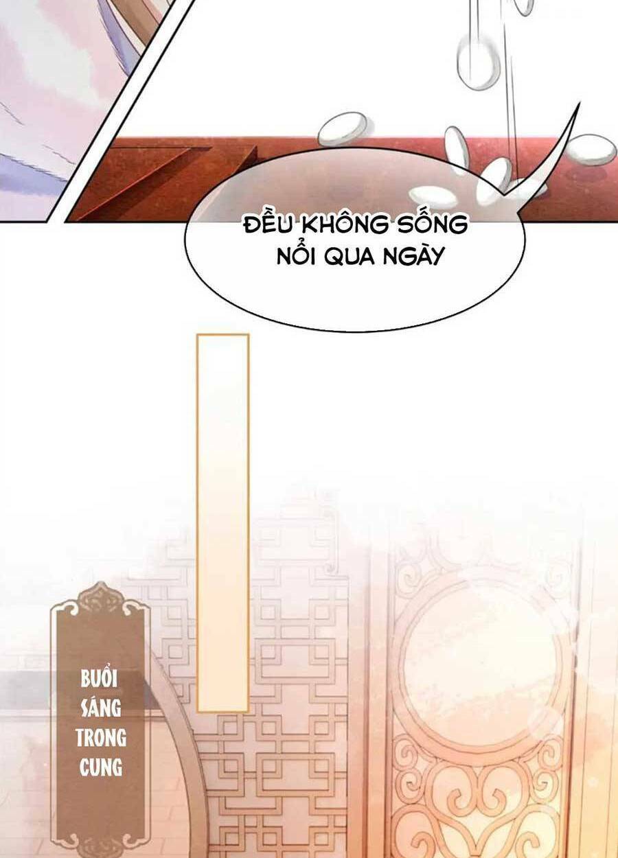 Xung Hỉ Vương Phi: Chapter 95