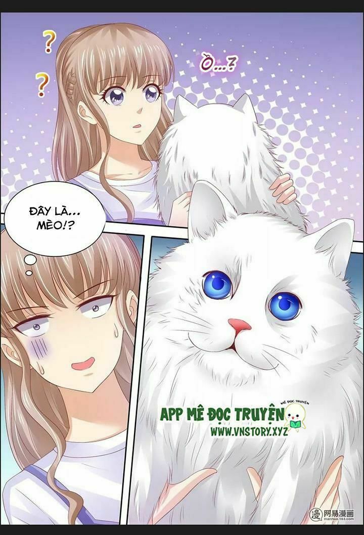 Cưng Chiều Vợ Yêu: Chapter 72: Hôn nhân không tình yêu