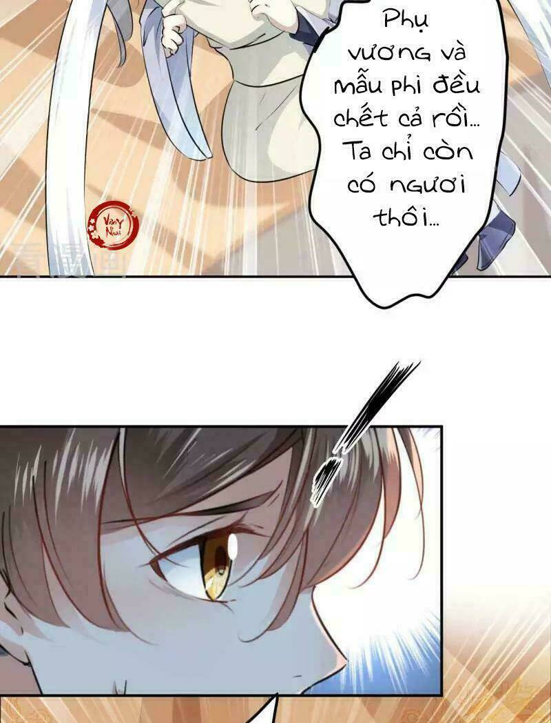 Vương Gia Không Thể Trêu: Chapter 52