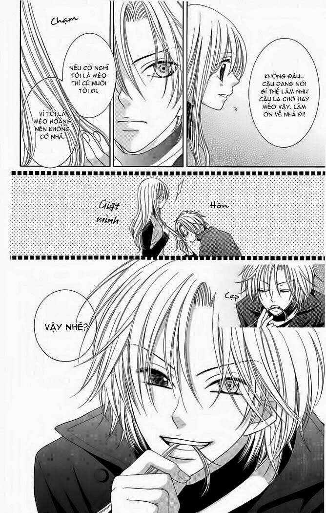 My Dear Cat: Chapter 1