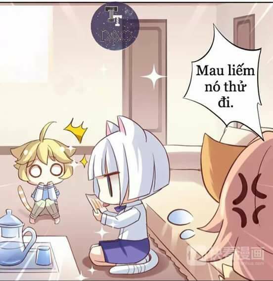 Dưới Móng Vuốt Mèo: Chapter 6