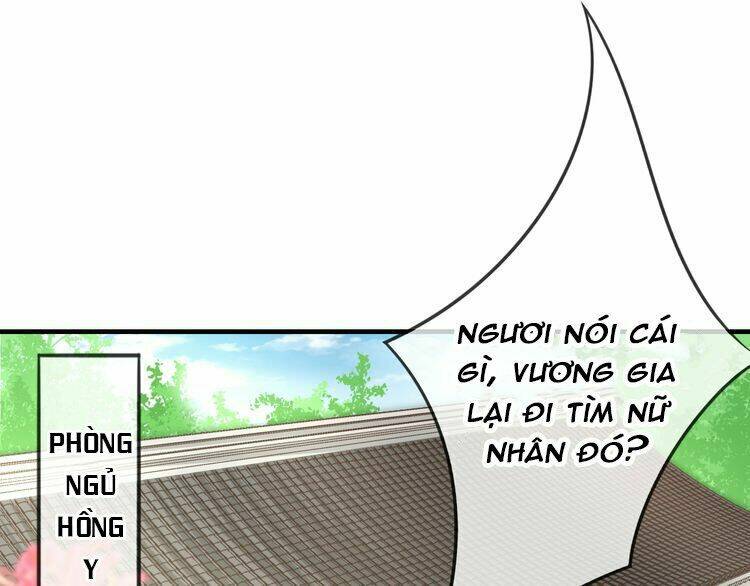 Báo Cáo Vương Gia, Vương Phi Là Một Con Mèo: Chapter 3