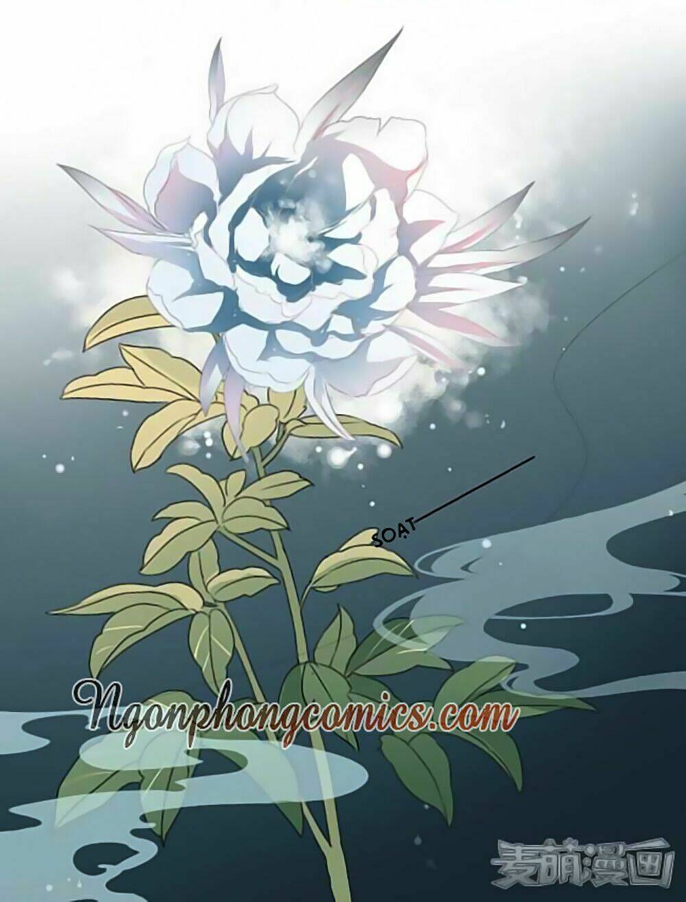 Quy Tự Dao: Chapter 16