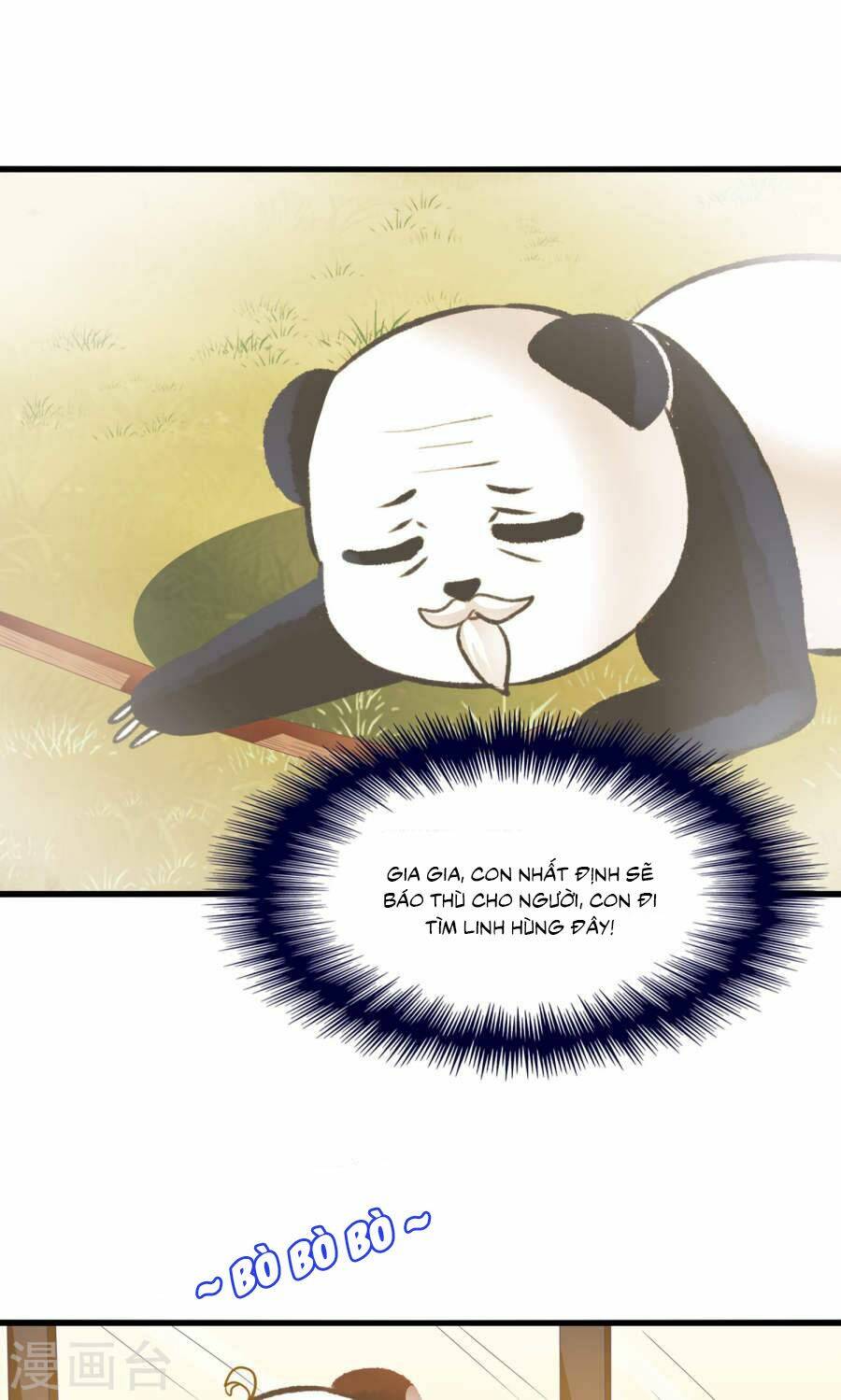Tôi Bị Gấu Trúc Nhìn Trúng Rồi: Chapter 13