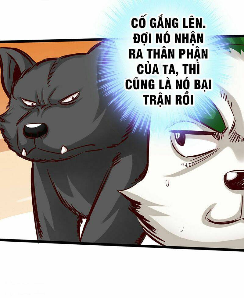 Thông Thiên Chi Lộ: Chapter 14