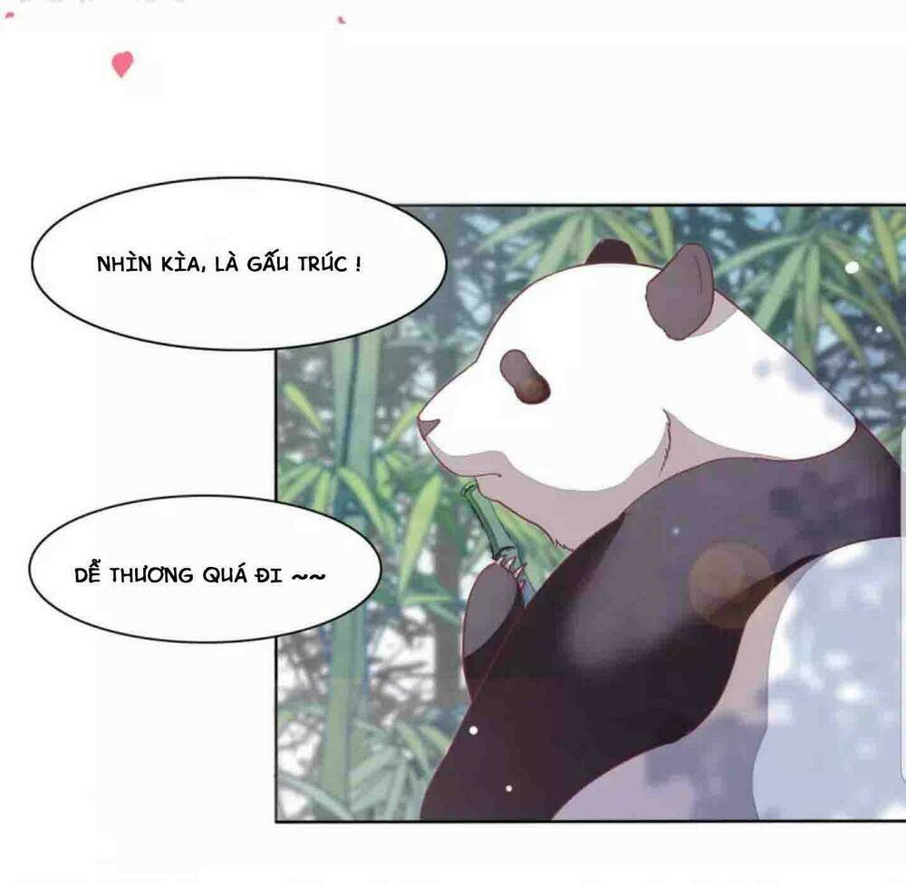 Xuyên Về Cổ Đại Làm Quốc Bảo: Chapter 1