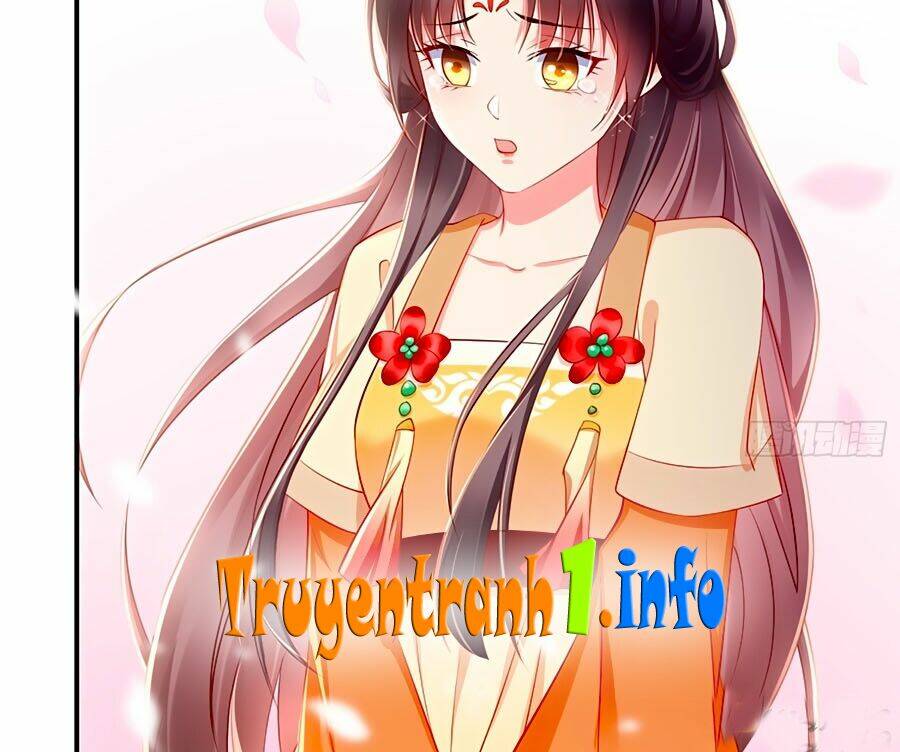 Vương Phi Là Đoá Bạch Liên Hoa: Chapter 2