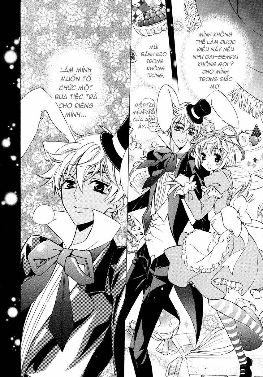 S.L.H (Stray Love Hearts): Chapter 4